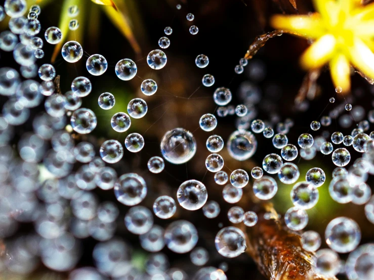 a dewy spider web with drops of water in the middle