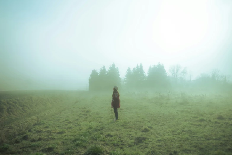 a person standing in a field covered in fog