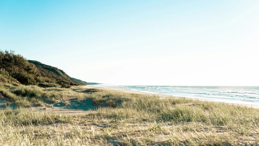 there is a hill with grass next to the beach