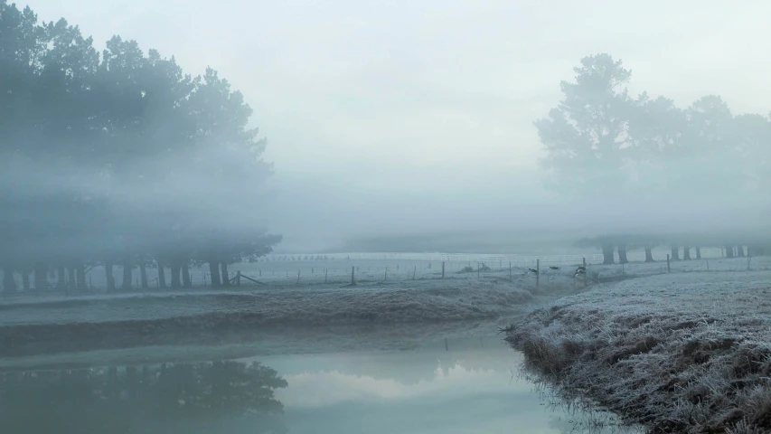 a foggy day with water in the foreground