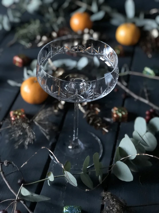 a close up s of some wine glasses in front of oranges