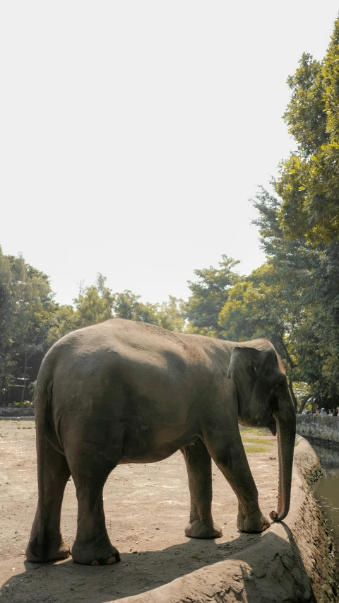 the elephant is standing in an empty zoo enclosure