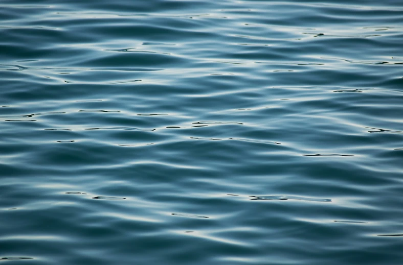 closeup of a water surface that resembles a sea surface