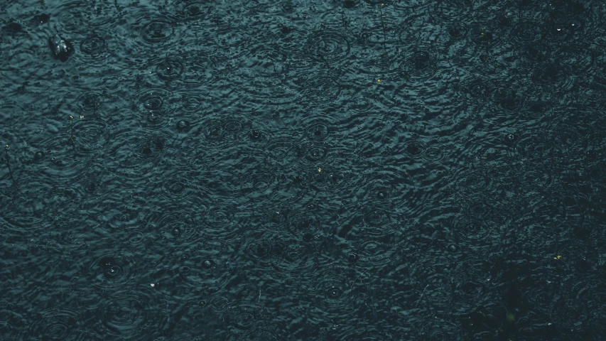 a close up view of a black surface with little bubbles