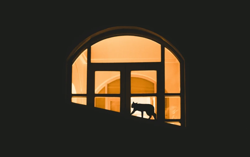 a silhouette of a dog in a building near an open door