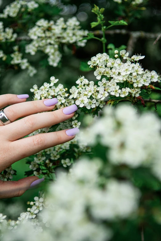 a woman holding on to a flower nch