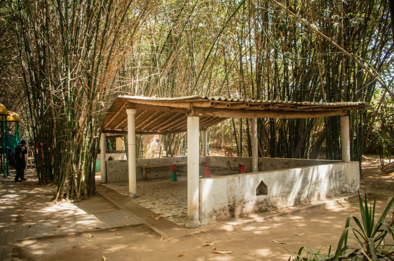 a gazebo surrounded by bamboo trees in a park