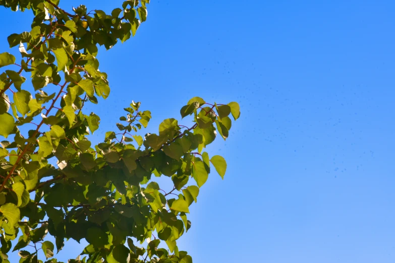 a plane flying in the clear blue sky