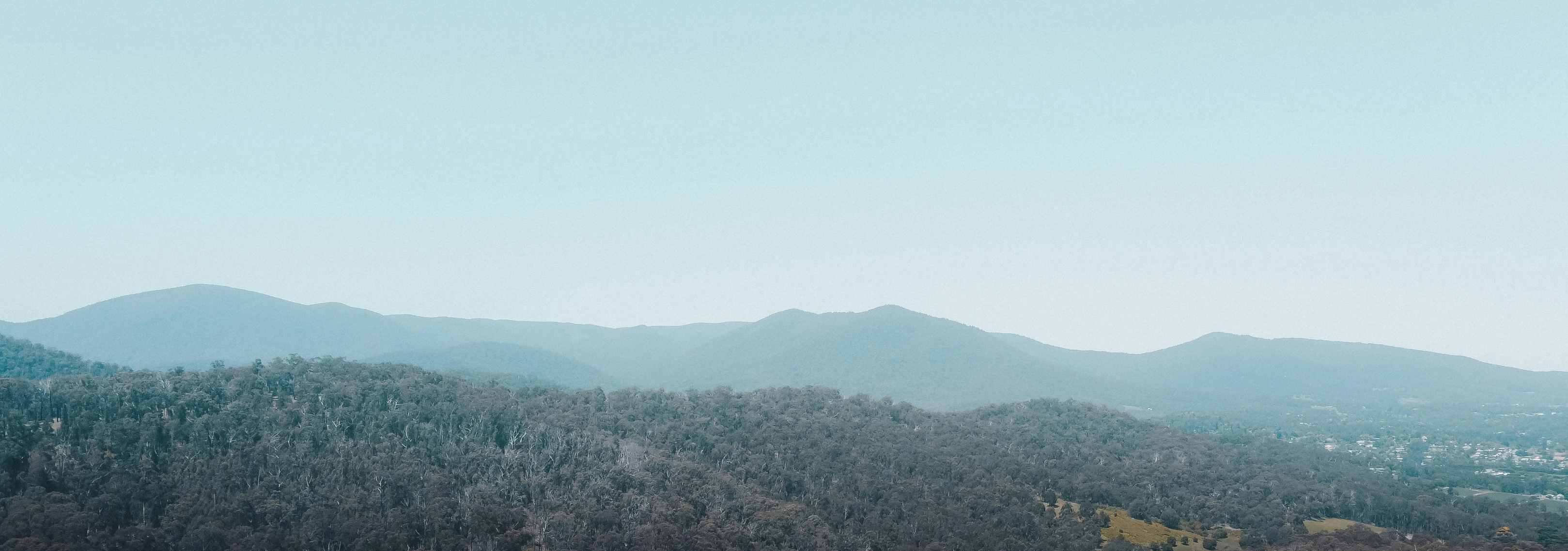 trees in the foreground and a mountain in the background