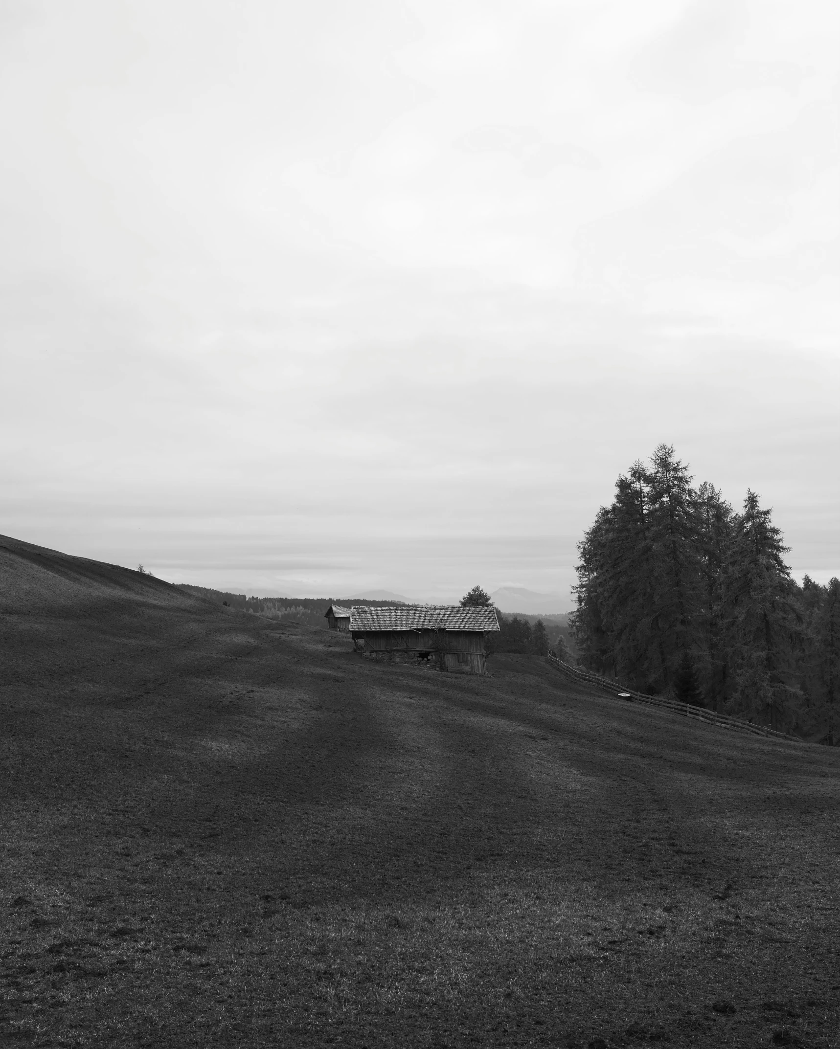 a black and white po of a small plane in a field