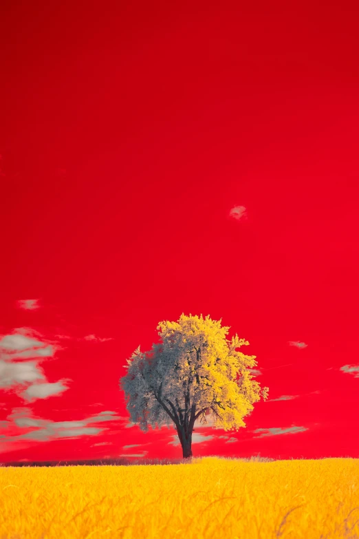 an artfully painted painting of a tree in a field