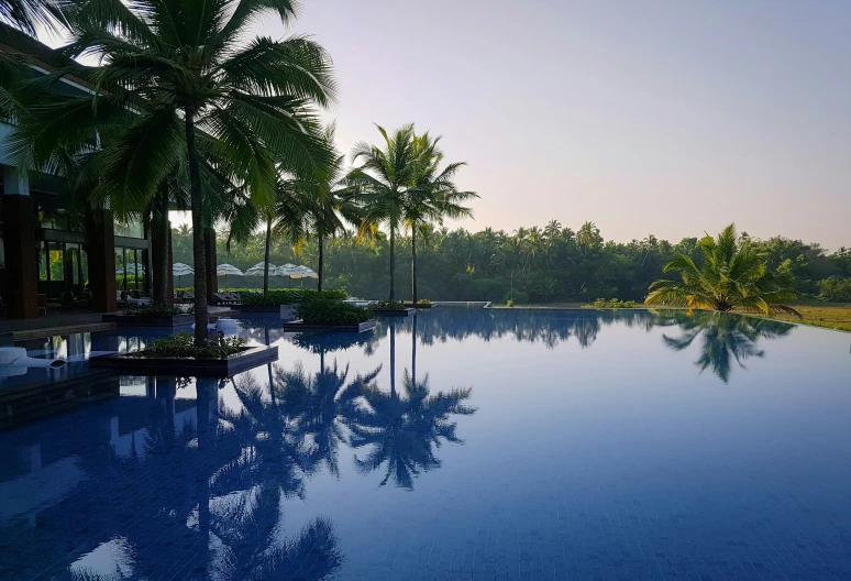 a beautiful, blue swimming pool sits surrounded by palm trees