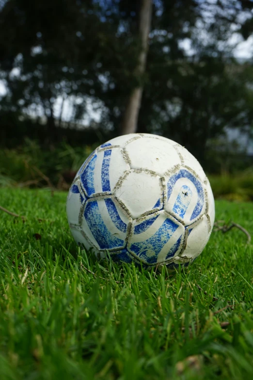 a soccer ball laying on the ground in the grass