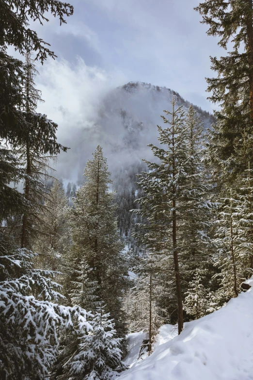 there is a small mountain covered in snow