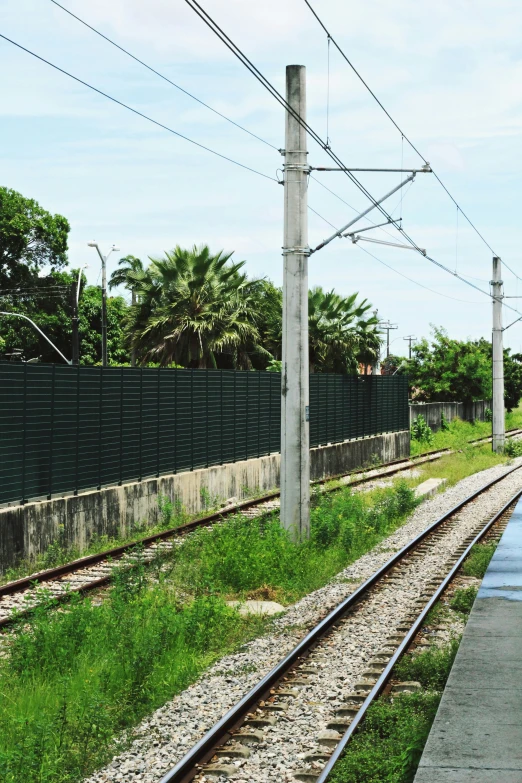 an empty train track with grass and power lines