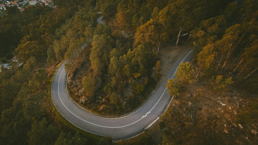 a winding road is surrounded by trees