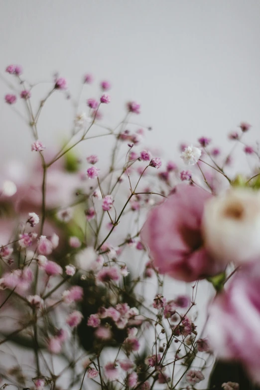 a bunch of different types of flowers in front of a wall