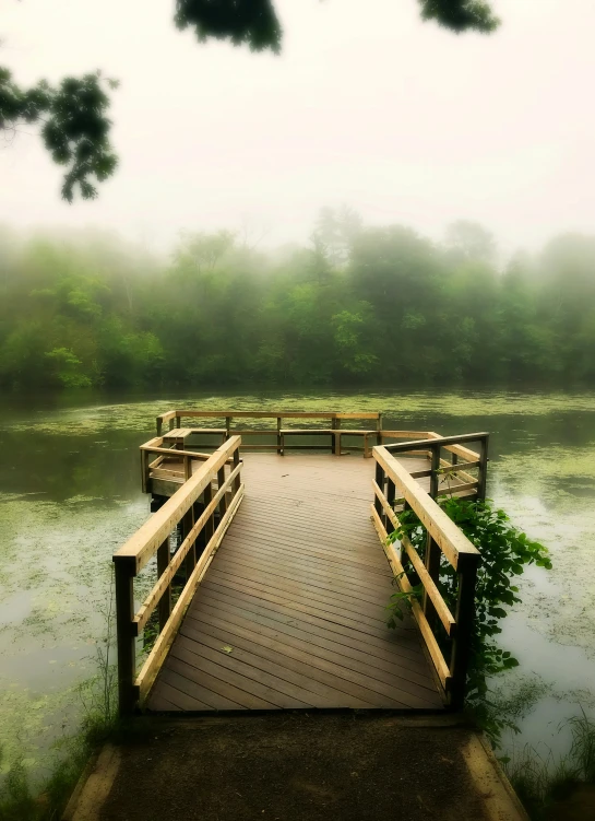 the fog is covering the lake and boardwalk