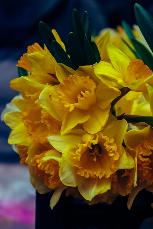 yellow daffodils are in a vase with green leaves