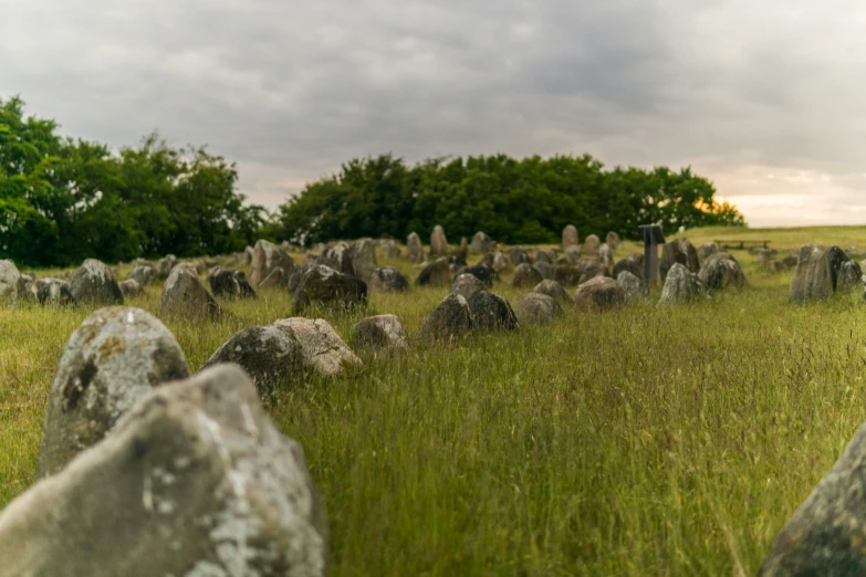a large field with many stones and grass