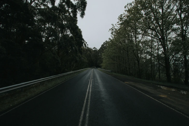an empty road is lined with trees and the sky is hazy