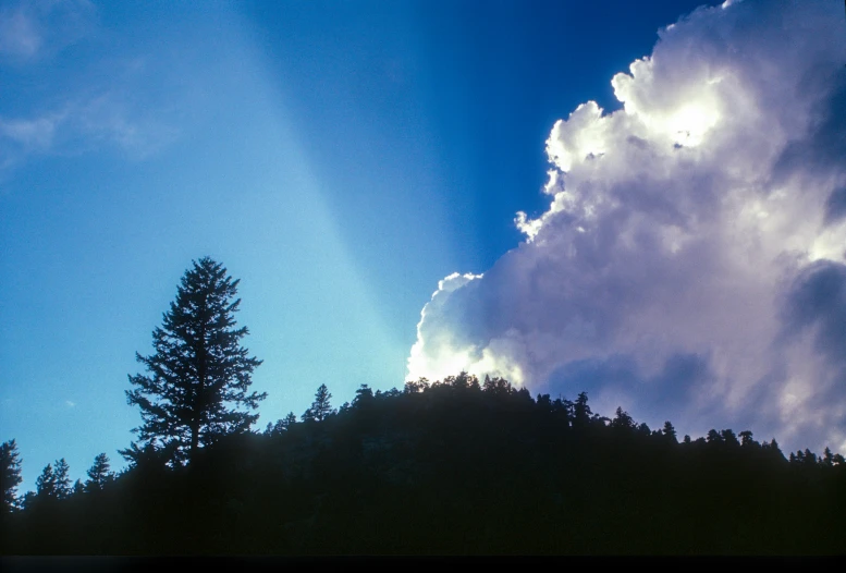 some very nice clouds in the sky over a tree