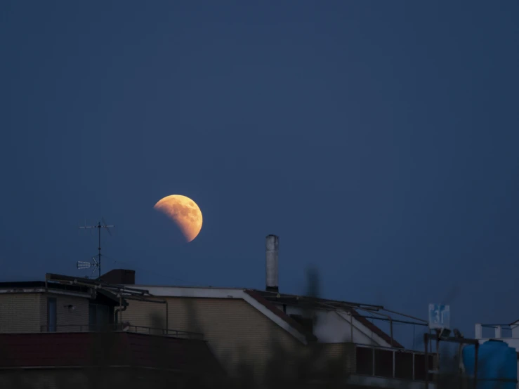 the moon and a building seen through the tree tops