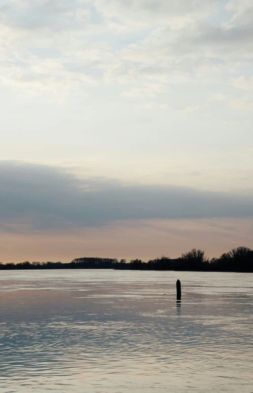 a man standing on a beach watching the water