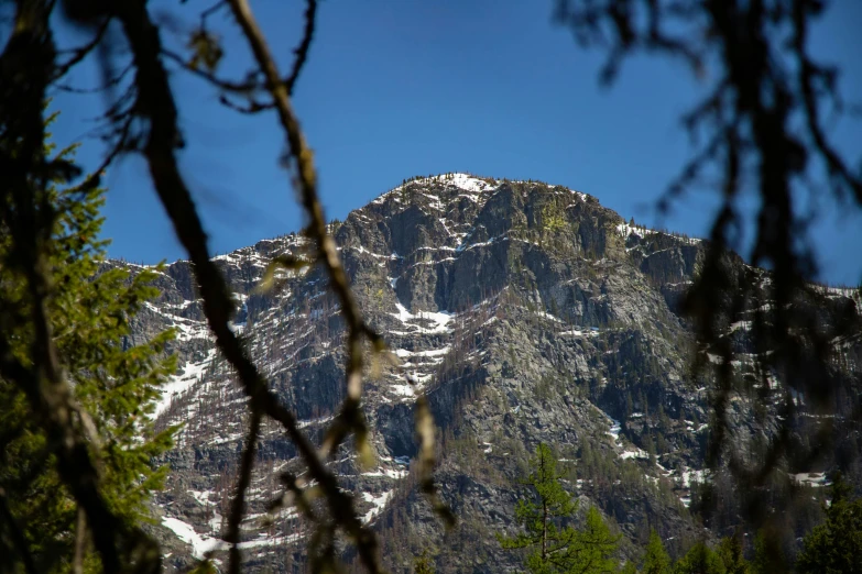 view of mountain from behind nches and a clear sky