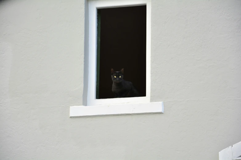 a black cat with yellow eyes sits in the window