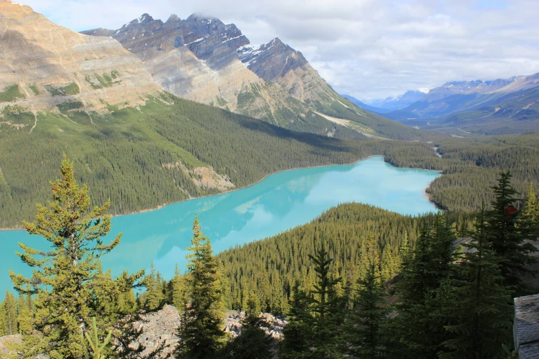 the landscape is beautiful and bright, with lots of blue water