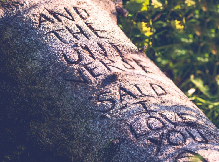 a close - up view of writing etched in the rock