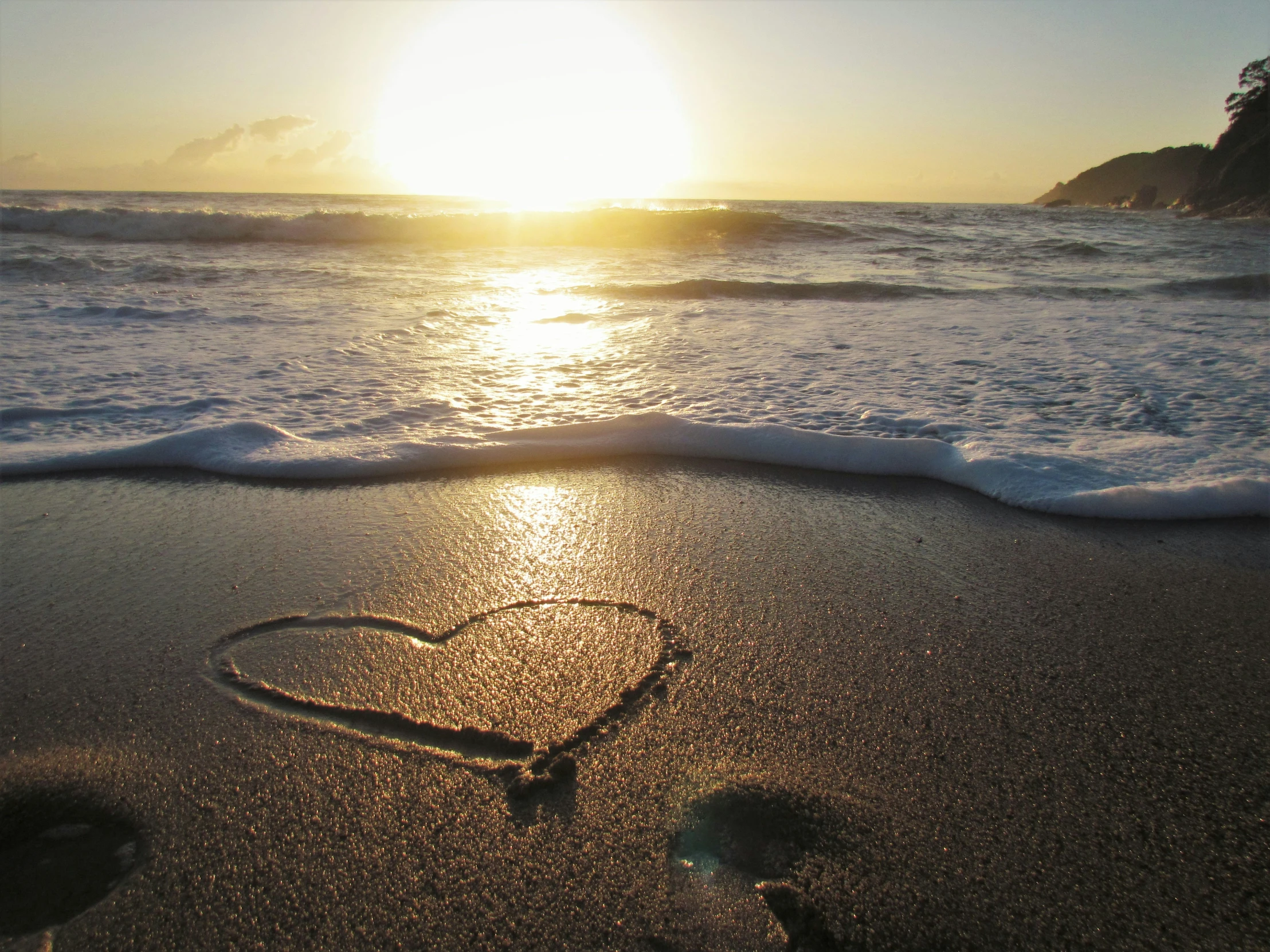 the sun rises behind a heart shaped sand dollar on a beach