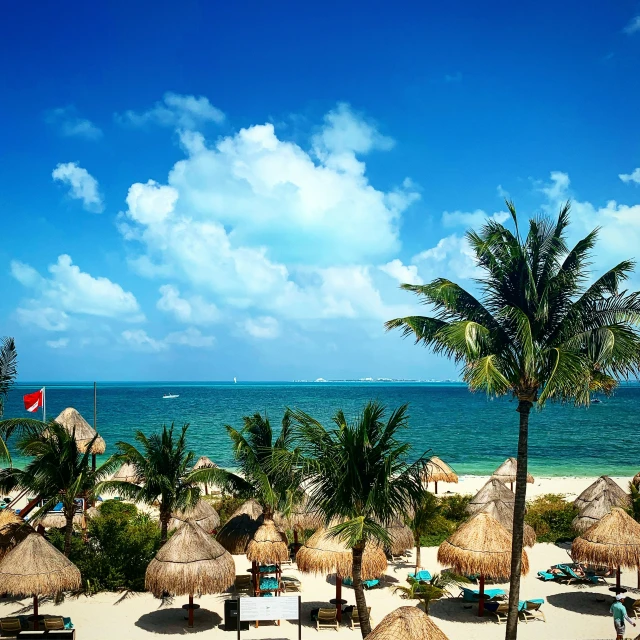 a sandy beach with palm trees and a body of water in the distance