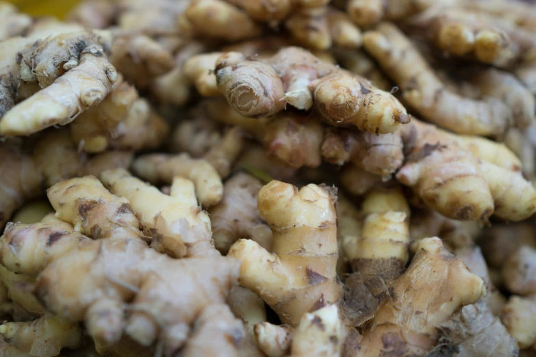 some very pretty looking unripe ginger roots