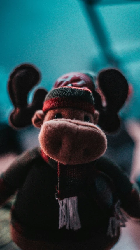 a closeup of a stuffed monkey wearing a hat