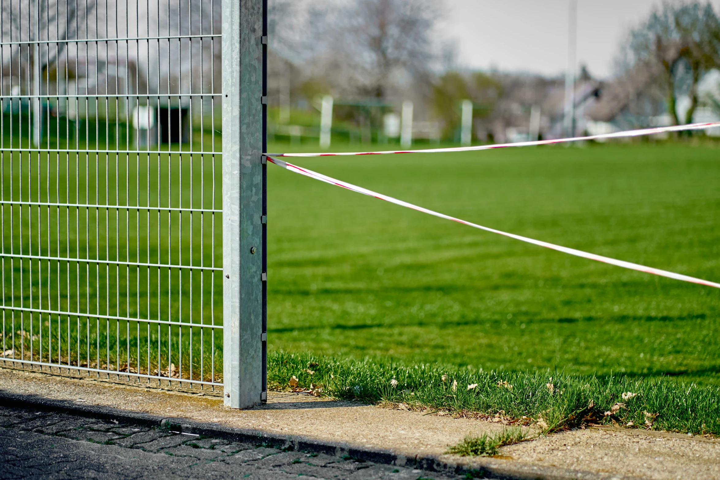 a fence and green field with green grass in the background