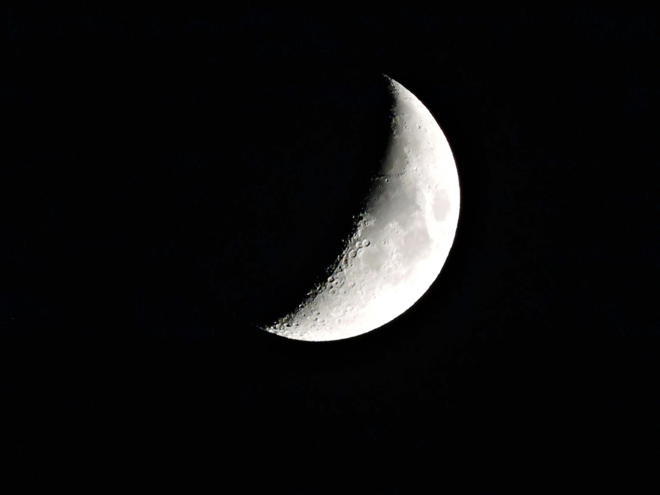 half moon seen in the night sky from the ground