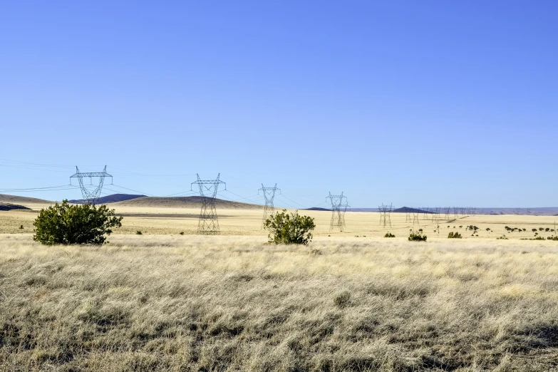 an open field with trees and hills in the background