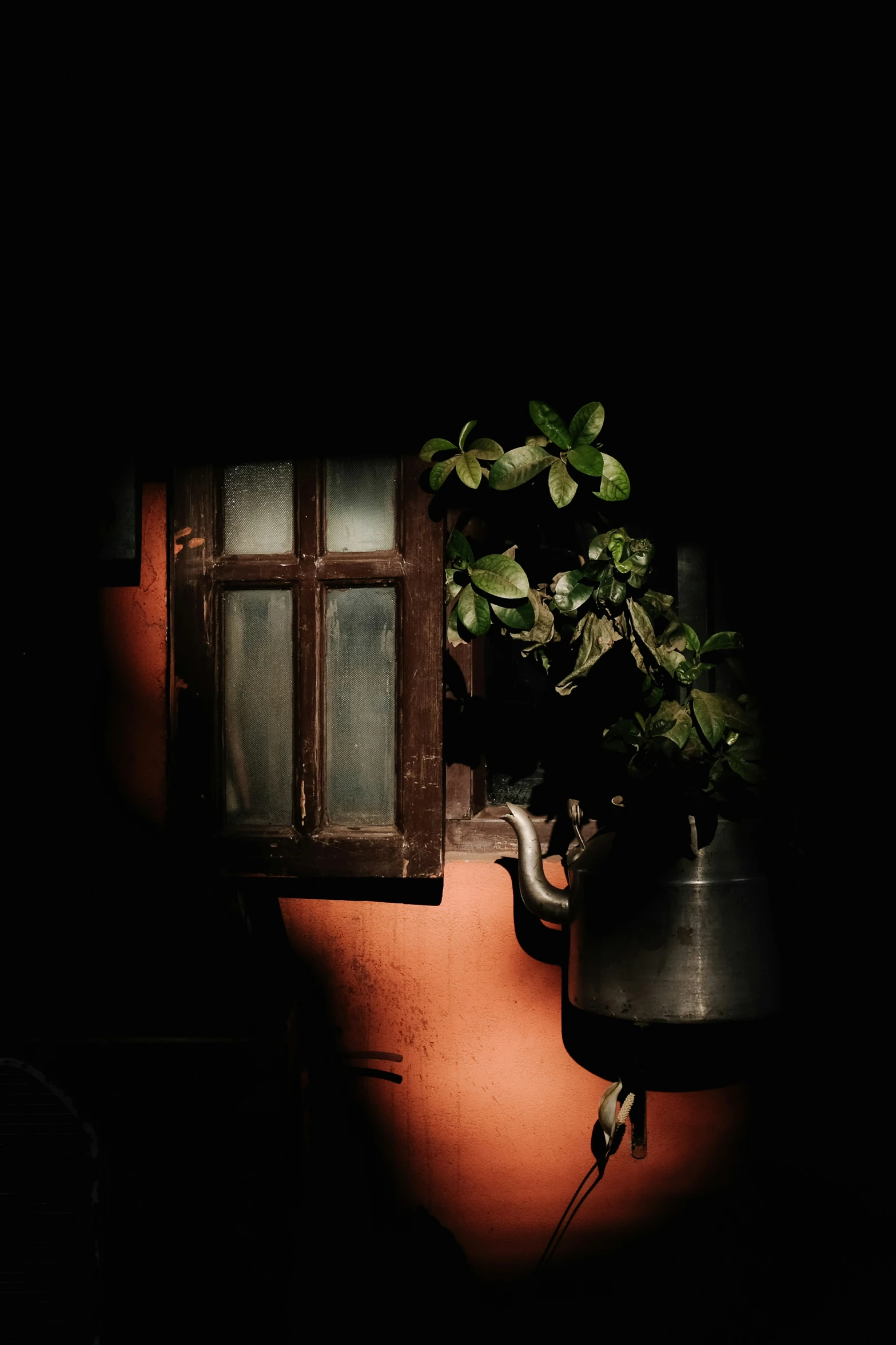 a plant sitting on top of a wooden table