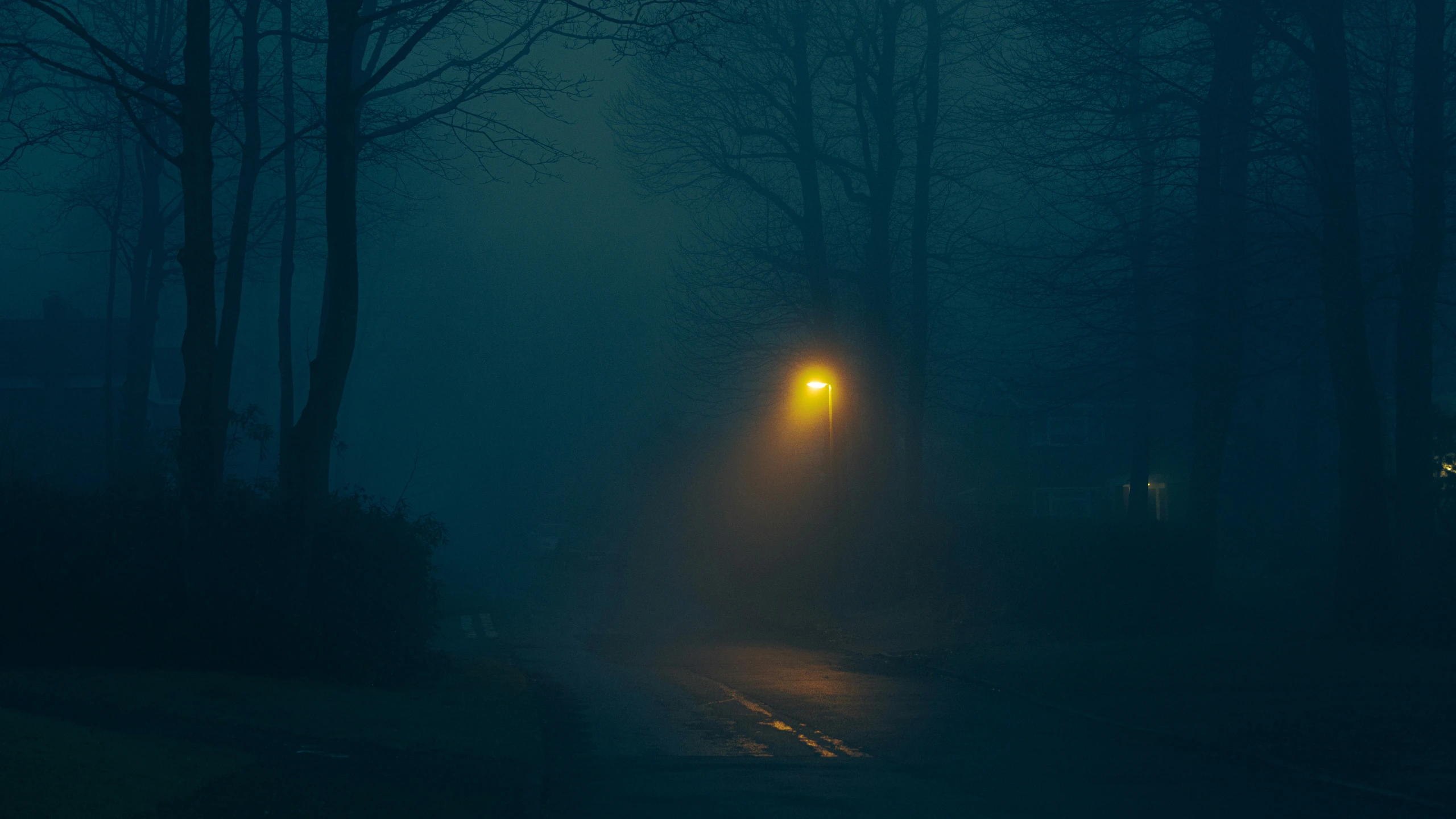 a street light shining on a foggy night