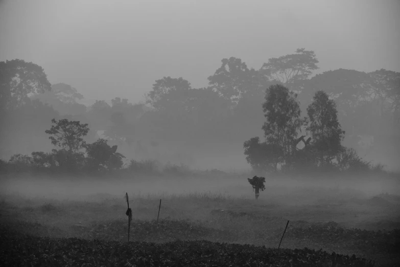 a person standing in the fog with their ski poles