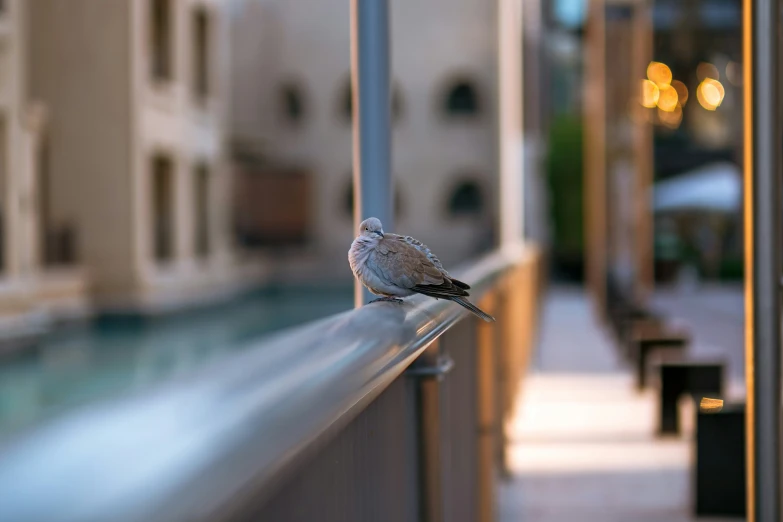 a bird sits on the side of a building