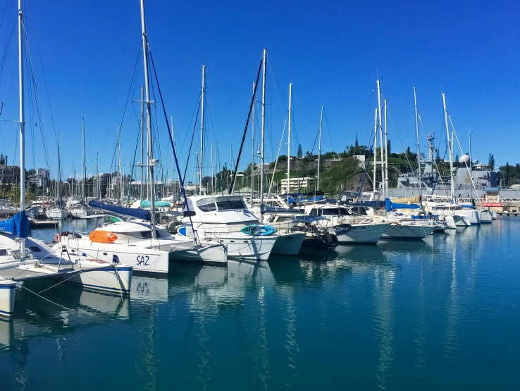 many sailboats in a small marina with bright blue waters