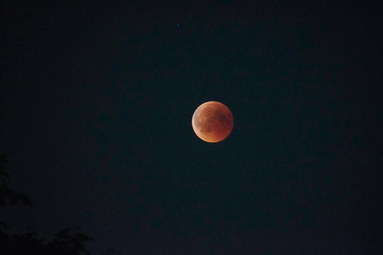 a  moon seen over some trees in the night sky