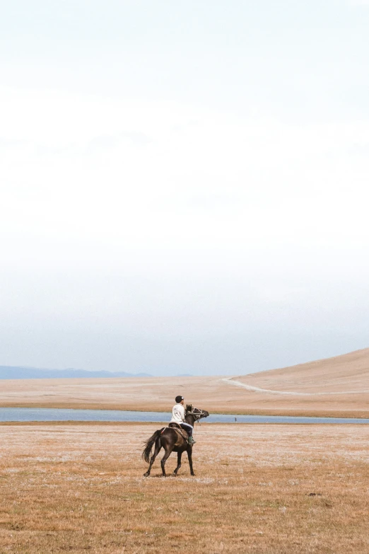 a couple riding horses through an open field