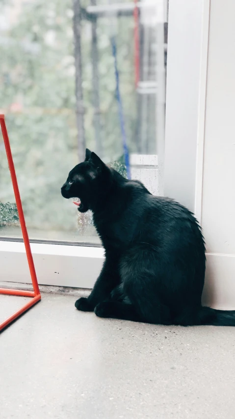 a black cat sits next to a red frame