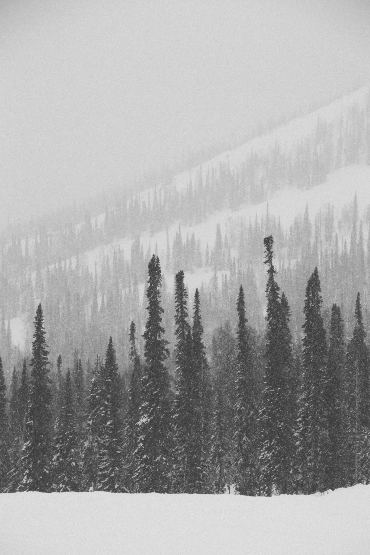 a person in skis is walking in the snow