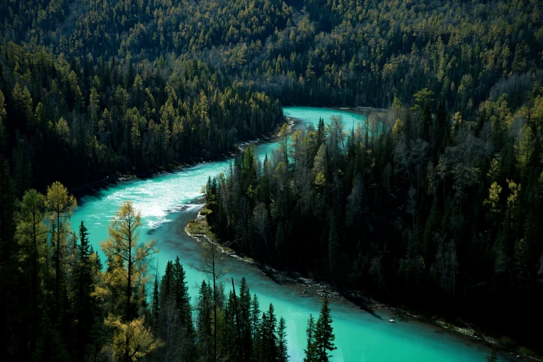 aerial view of a river in between some trees