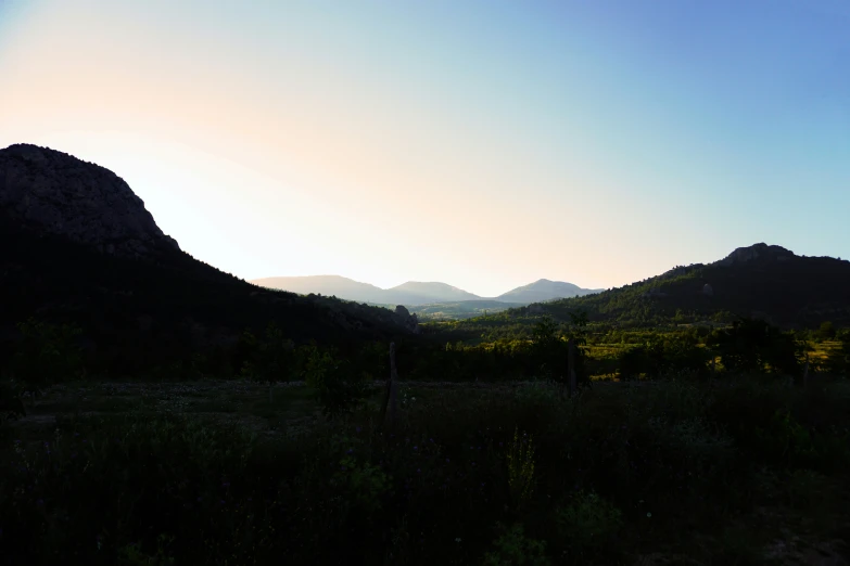 a picture of mountains at sunrise with palm trees and bushes